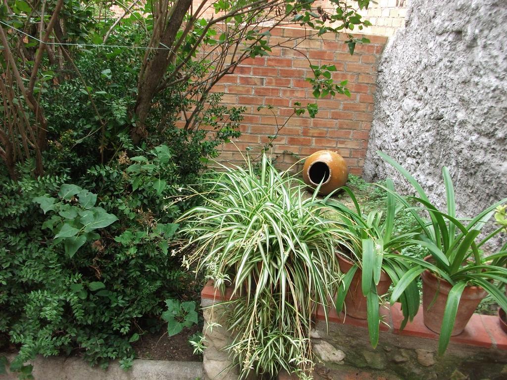 Villa Ca La Paula Pla del Panadés Esterno foto